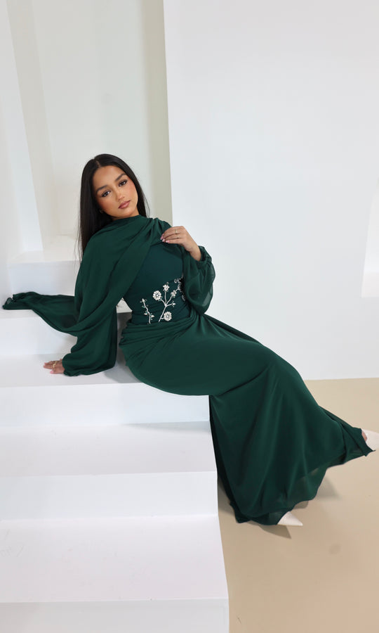 Enchanted Aleena Gown