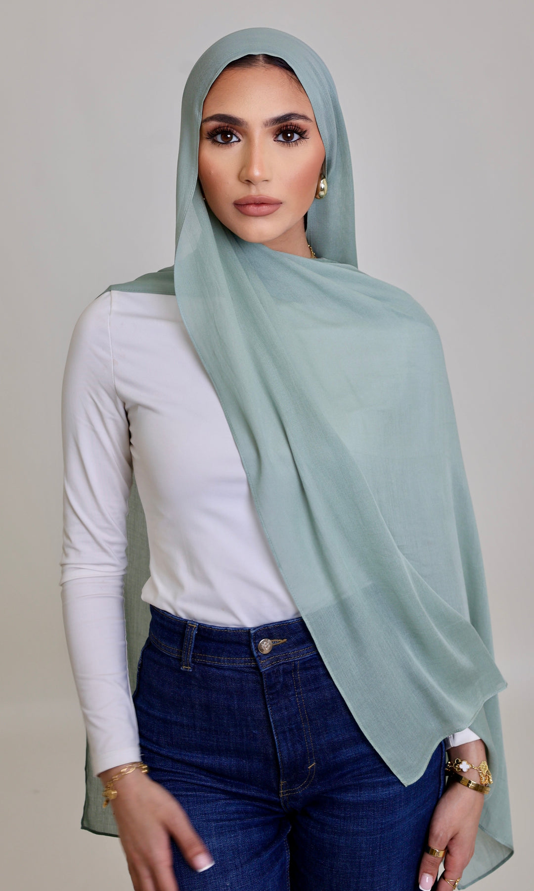 Sage Whisper Modal